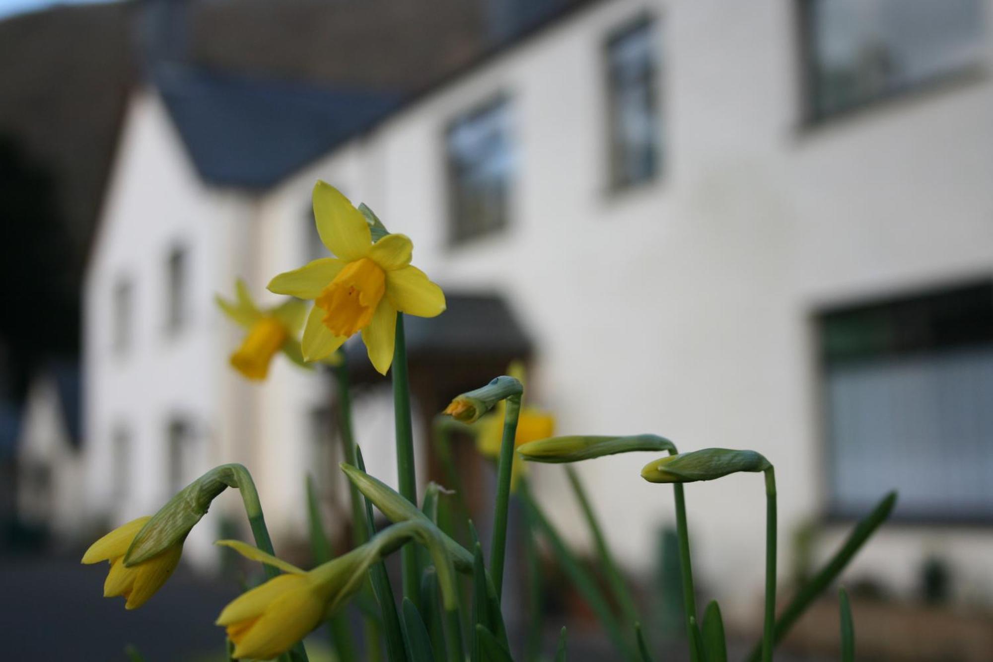 Padarn Apartment At Glanybala Holidays Llanberis Zewnętrze zdjęcie