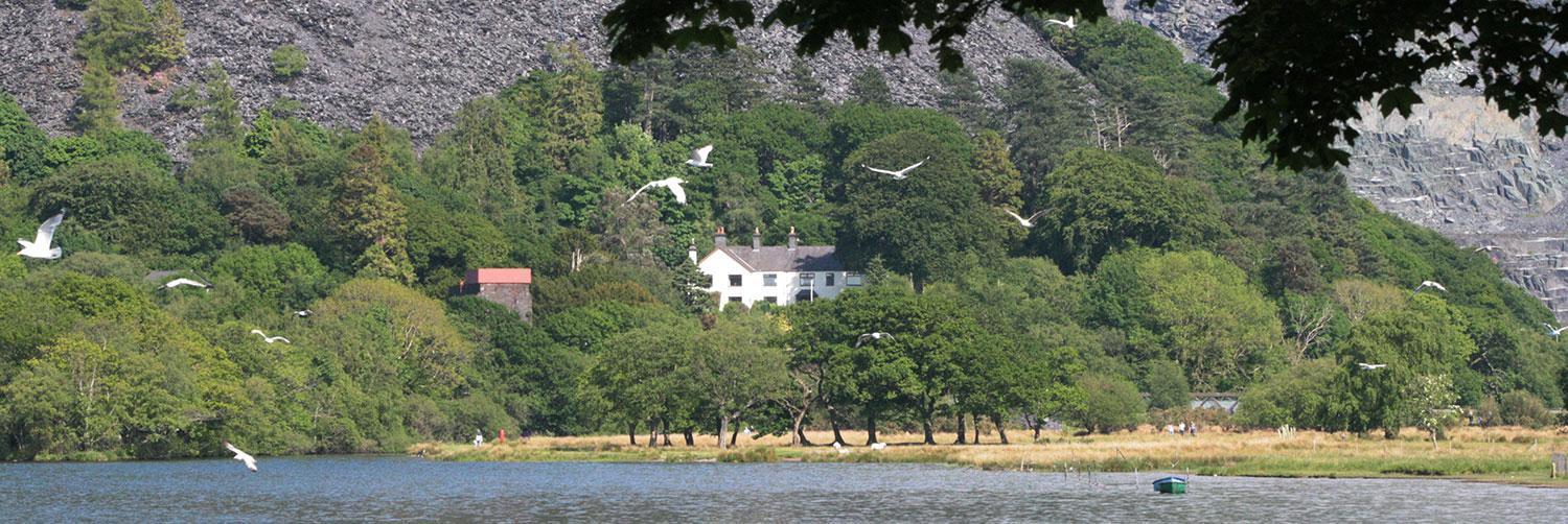 Padarn Apartment At Glanybala Holidays Llanberis Zewnętrze zdjęcie